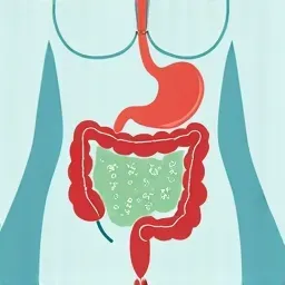 SIBO Explained: Understanding Small Intestinal Bacterial Overgrowth